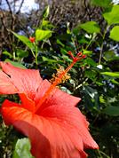 http://www.fujifilm.com/products/digital_cameras/s/finepix_hs30exr/sample_images/img/index/ff_fujifilm_hs30exr_004.JPG
