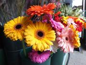 http://www.fujifilm.com/products/digital_cameras/s/finepix_hs30exr/sample_images/img/index/ff_fujifilm_hs30exr_002.JPG