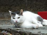 http://www.fujifilm.com/products/digital_cameras/s/finepix_hs30exr/sample_images/img/index/ff_fujifilm_hs30exr_006.JPG
