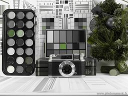 Cliquez pour agrandir l'image Cliquez pour agrandir l'image