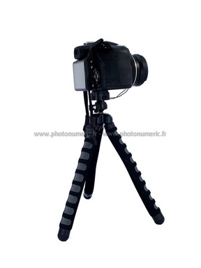 Cliquez pour agrandir l'image Cliquez pour agrandir l'image